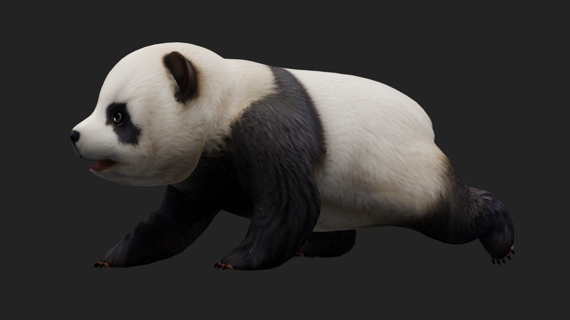 Panda A2 3D model_2