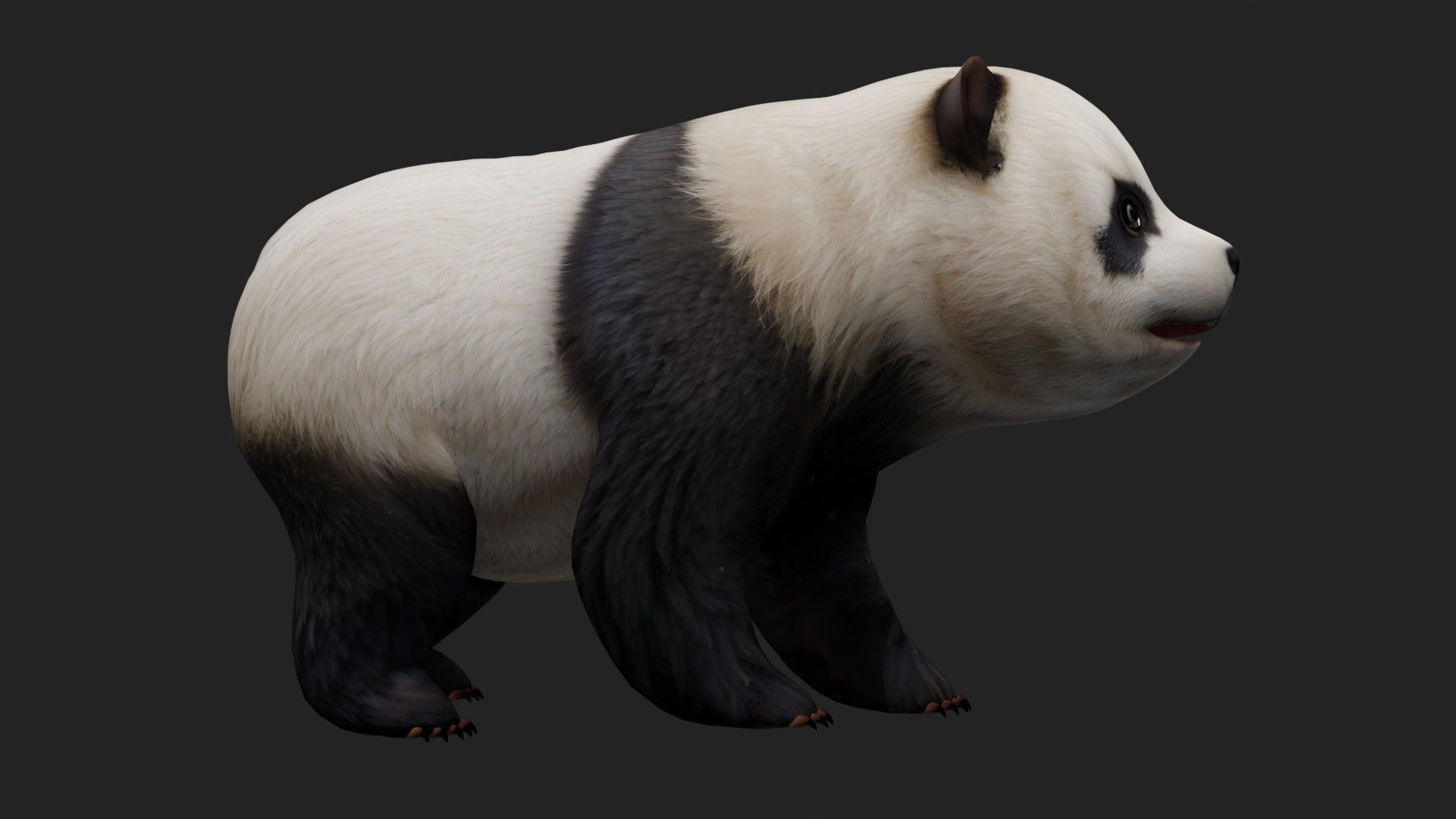 Panda A2 3D model_14