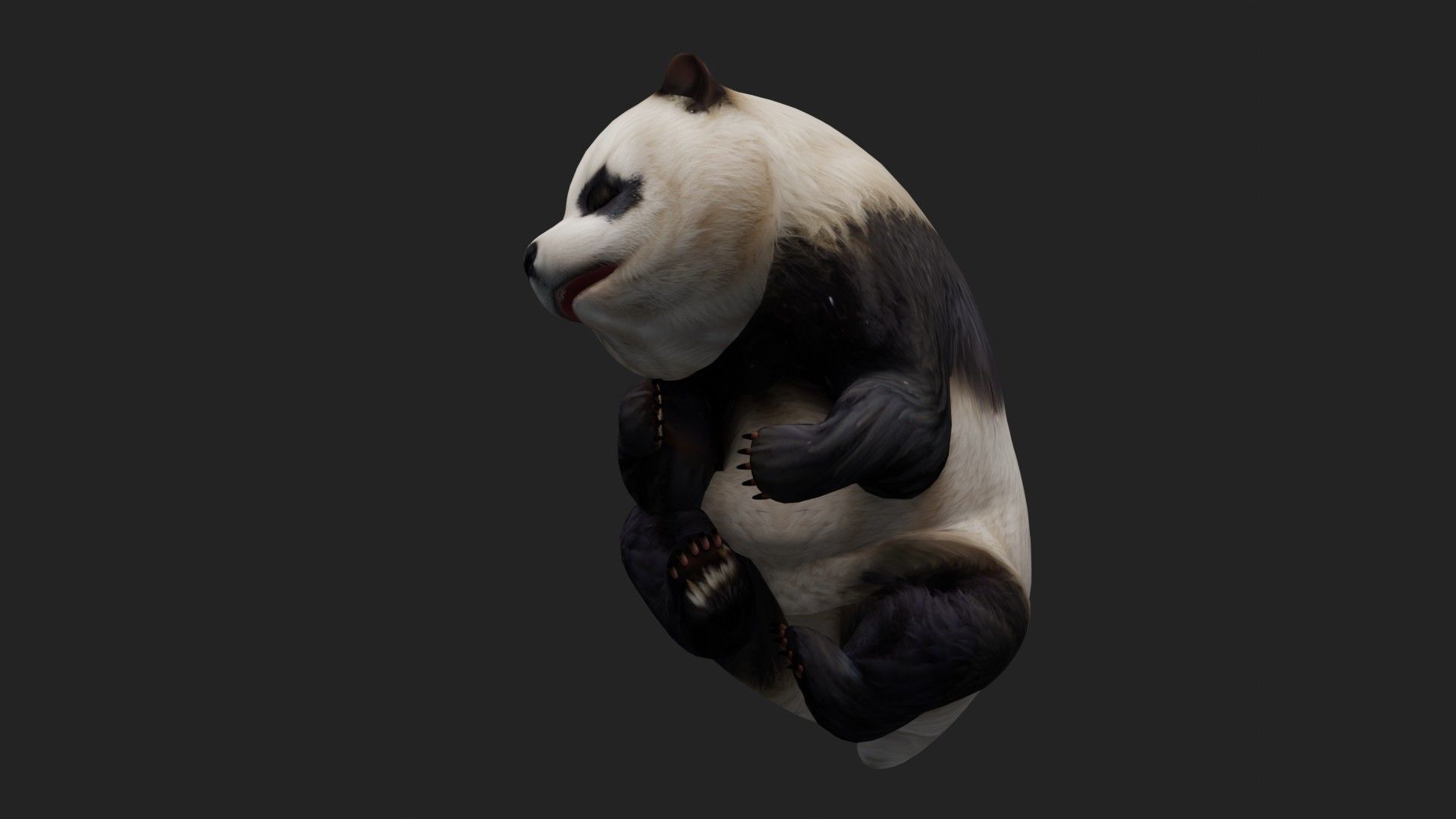 Panda A2 3D model_3