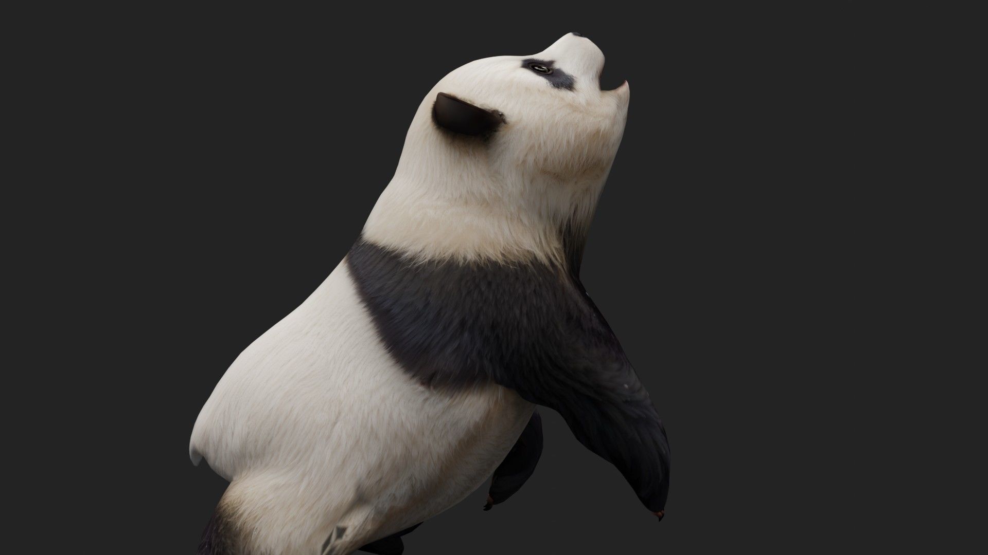 Panda A2 3D model_7