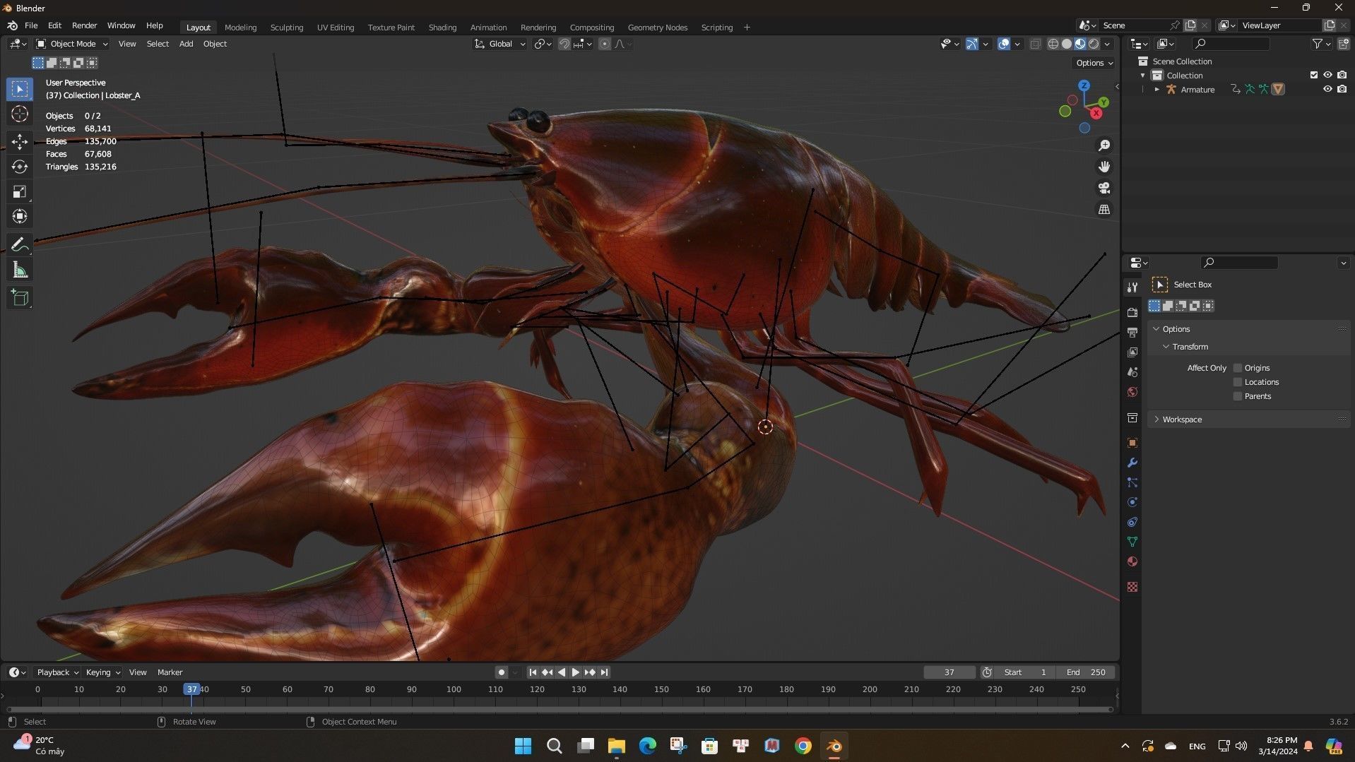 Lobster A1 3D model_17