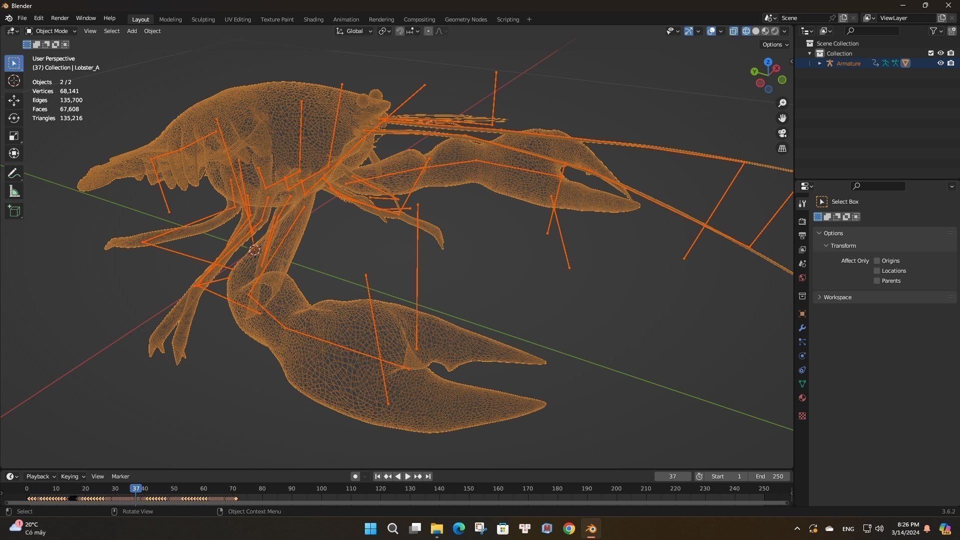 Lobster A1 3D model_16