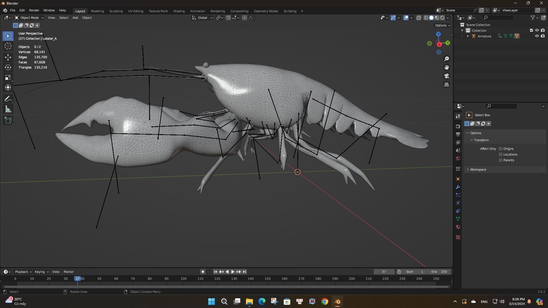 Lobster A1 3D model_15