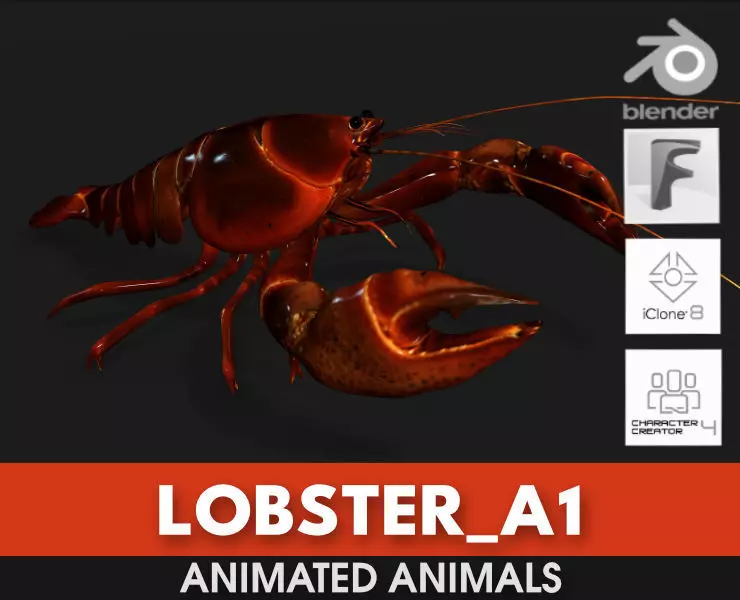 Lobster A1 3D model_0