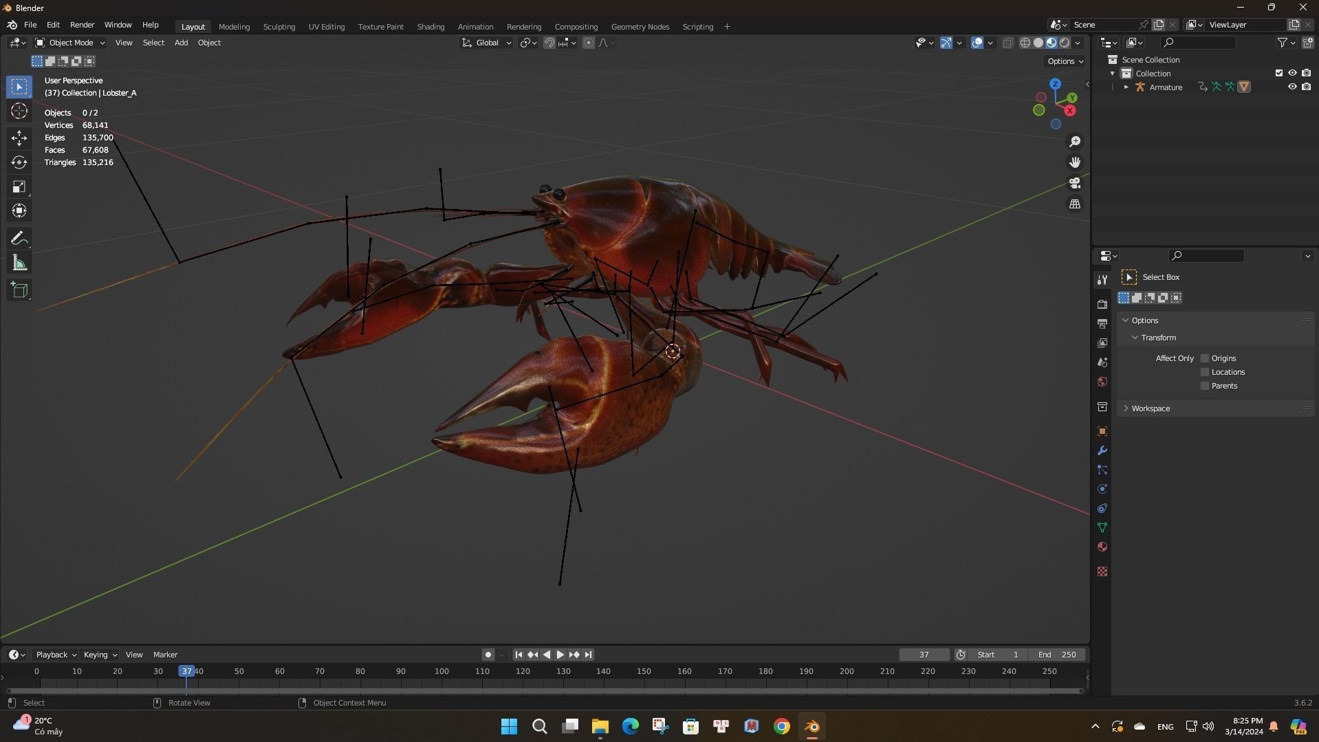 Lobster A1 3D model_14