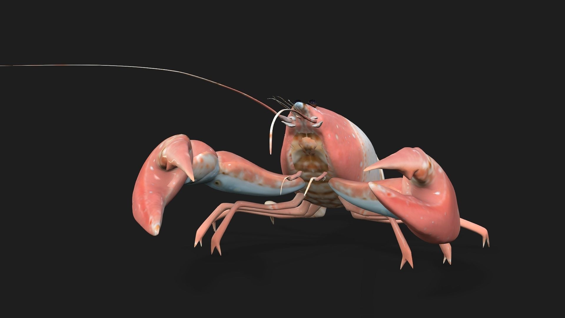 Lobster A3 3D model_7