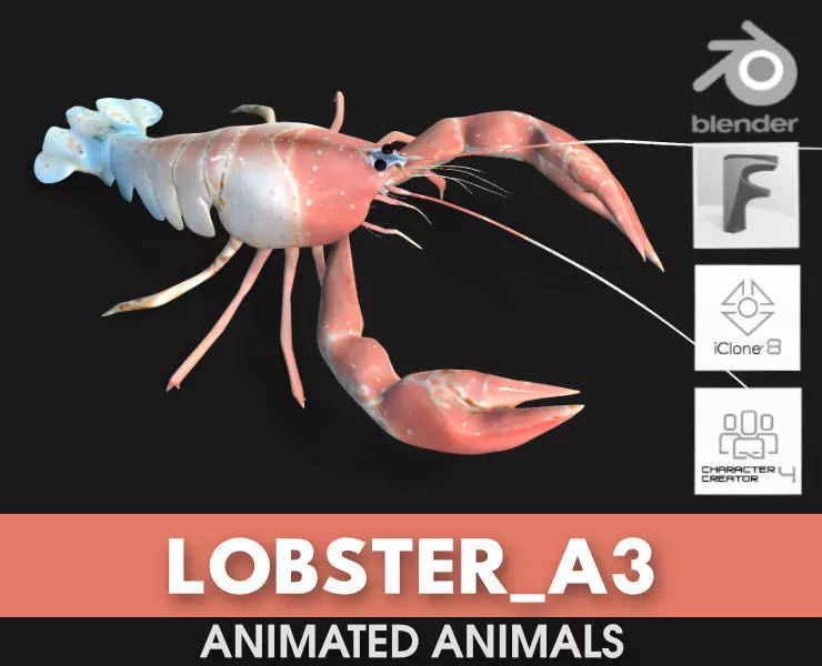 Lobster A3 3D model_0