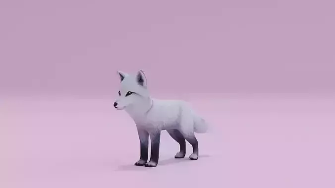 Artic Fox Light grey White