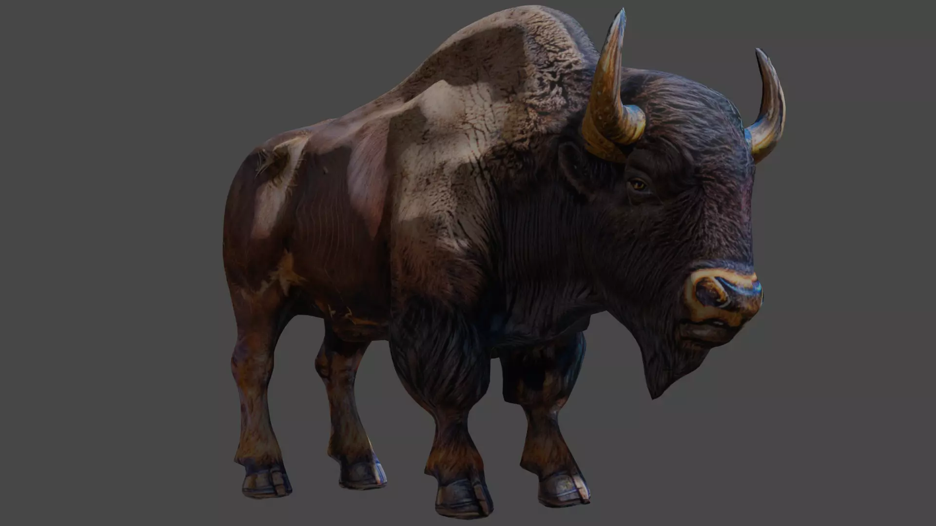 bison bull 3d free Free low-poly 3D model_0