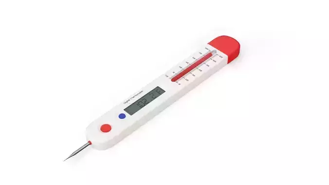 Digital and analog thermometer
