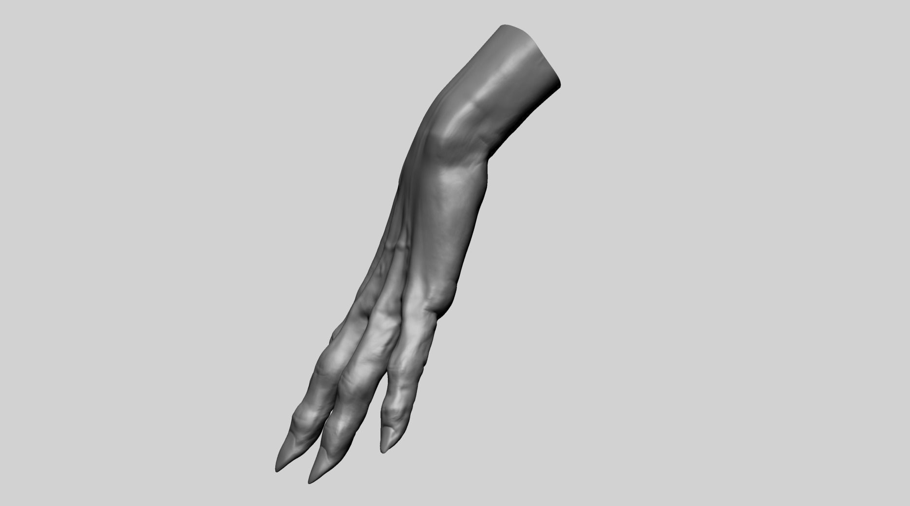 Creature Hand B 3D model_2