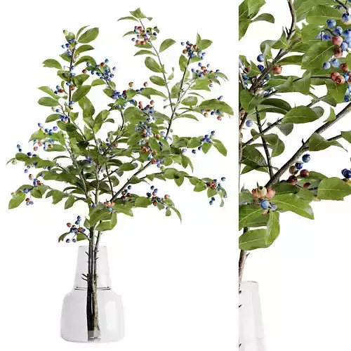blueberry bouquet inserted into glass vase 02 3D model