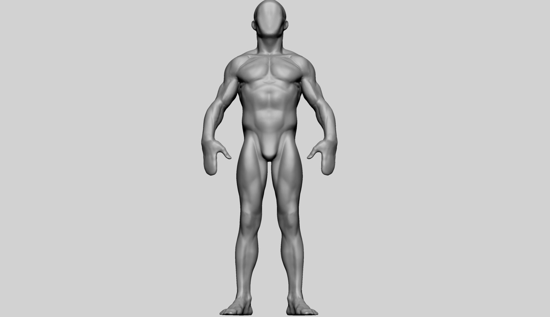 Base Male Anatomy C 3D model_9