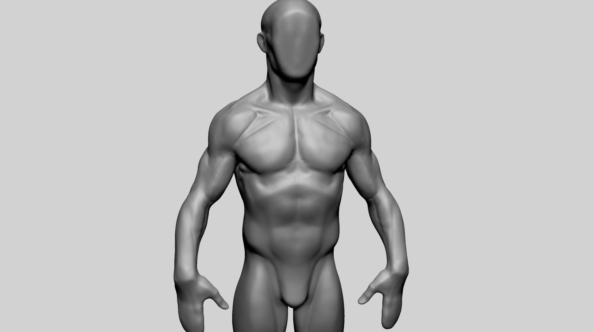 Base Male Anatomy C 3D model_8