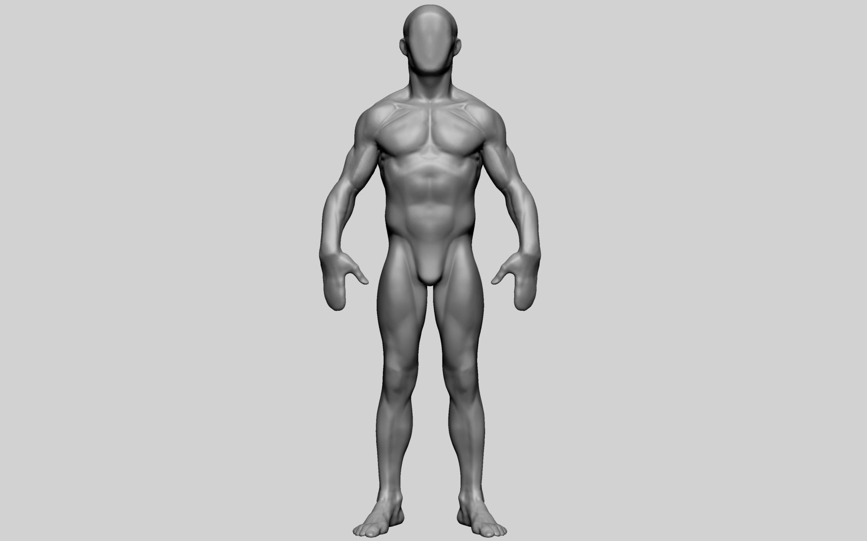 Base Male Anatomy C 3D model_1