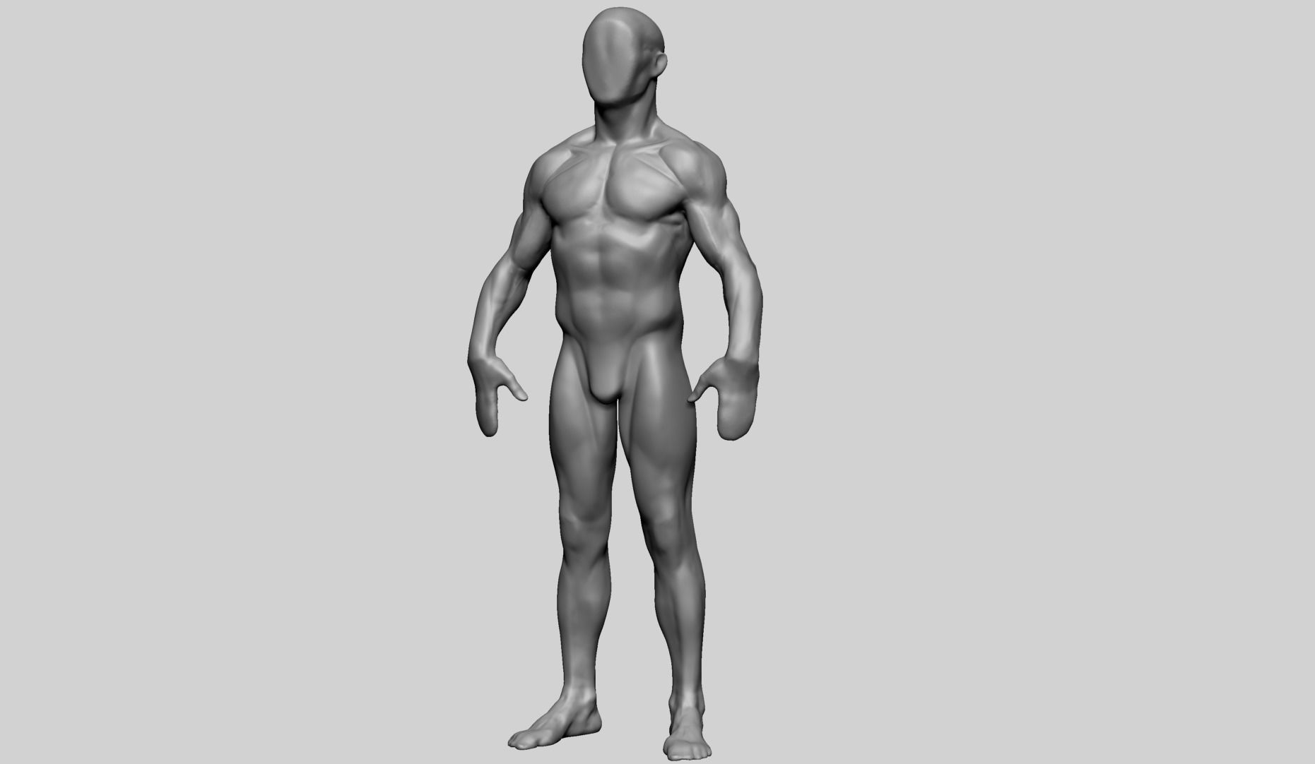 Base Male Anatomy C 3D model_5