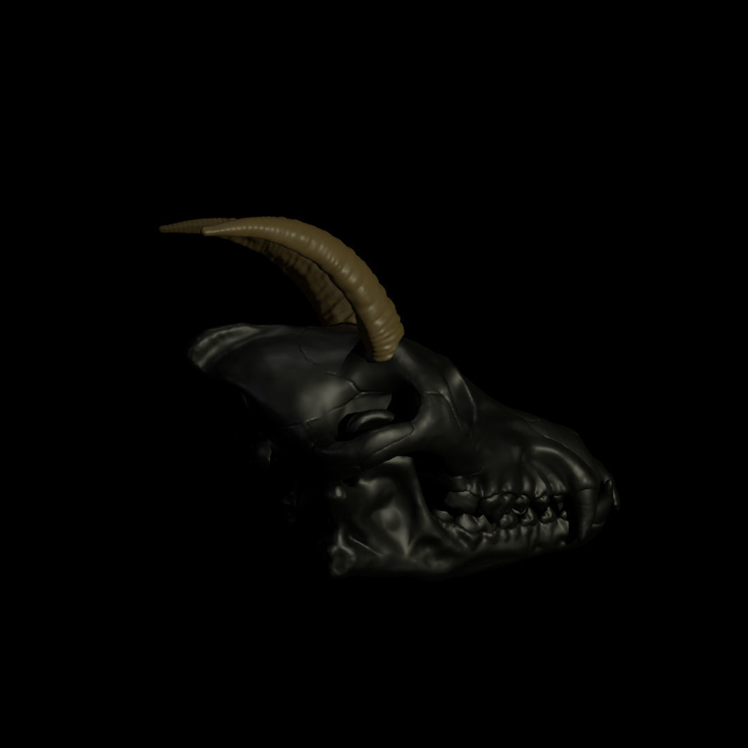 Goat Horns For Skull Pet Puppet 3D Print 3D print model_2