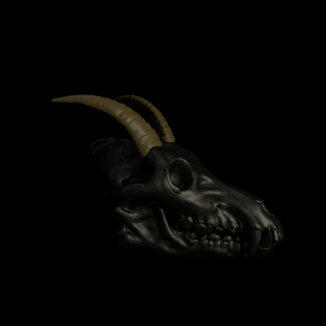 Goat Horns For Skull Pet Puppet 3D Print 3D print model_1