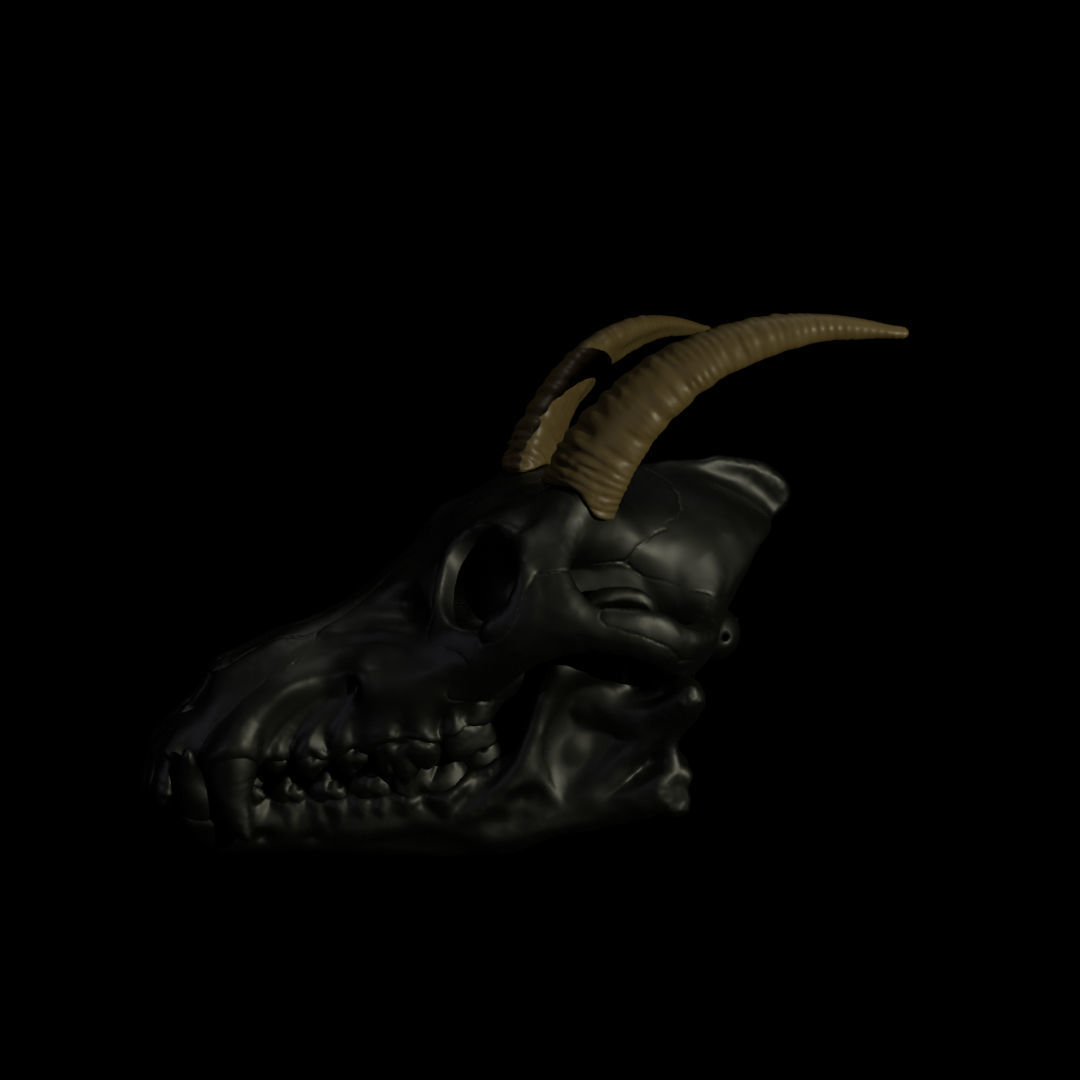 Goat Horns For Skull Pet Puppet 3D Print 3D print model_7
