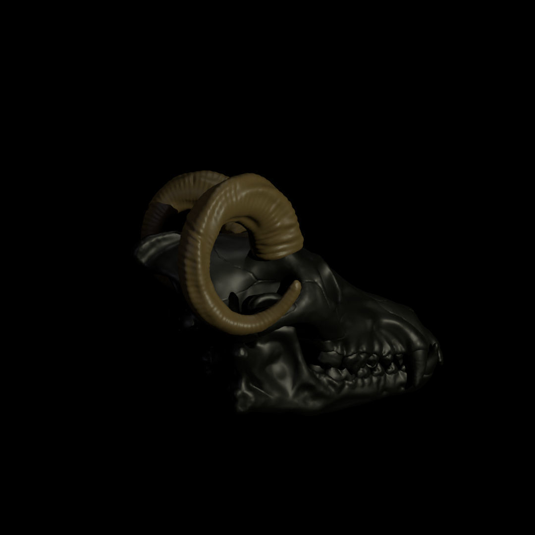 Ram Horns For Skull Pet Puppet 3D Print 3D print model_2