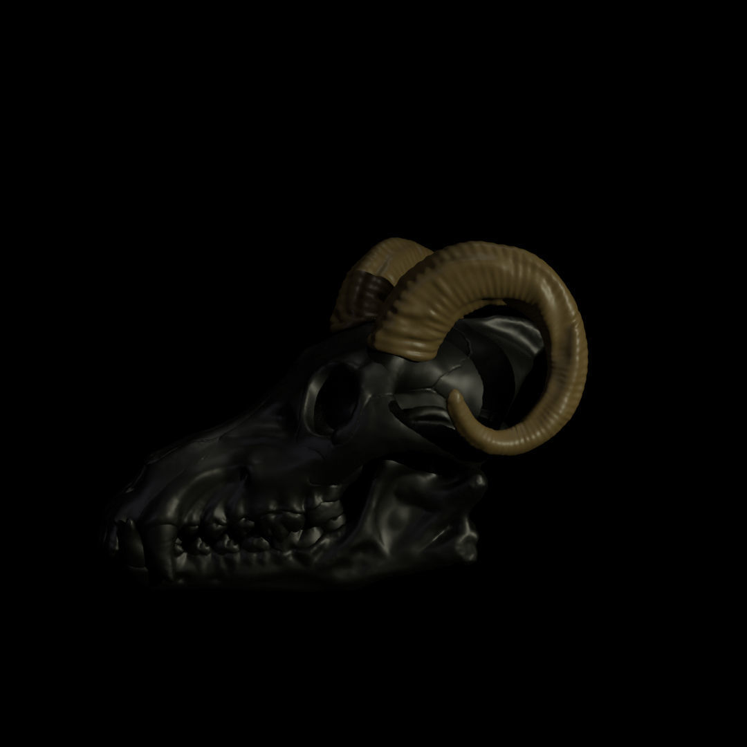 Ram Horns For Skull Pet Puppet 3D Print 3D print model_7