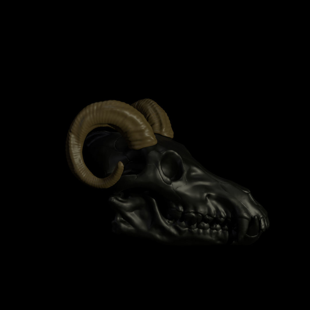 Ram Horns For Skull Pet Puppet 3D Print 3D print model_1