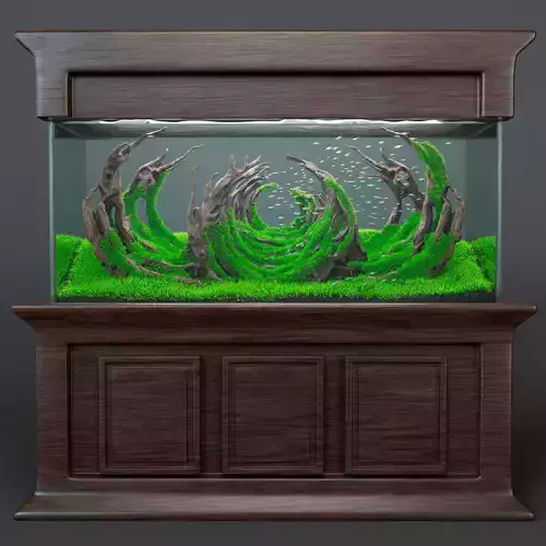 Aquarium