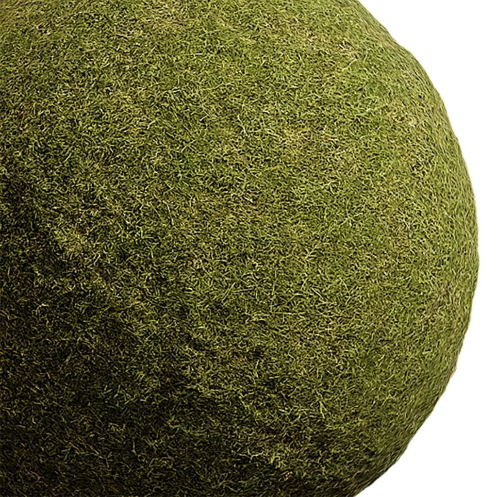 Grass Seamless Texture 2K - EXR 5 - JPG 5 Texture Texture_4