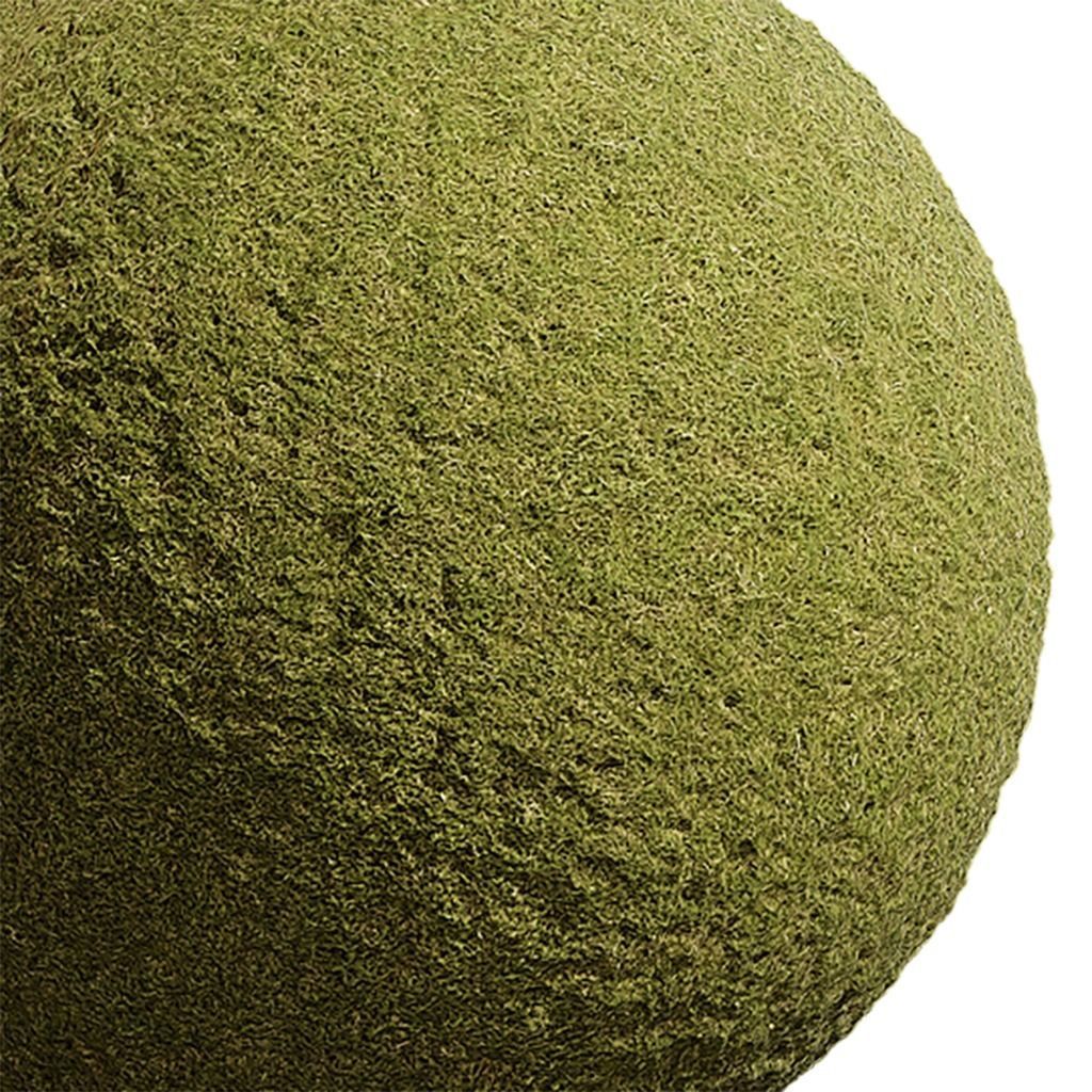 Grass Seamless Texture 2K - EXR 5 - JPG 5 Texture Texture_3