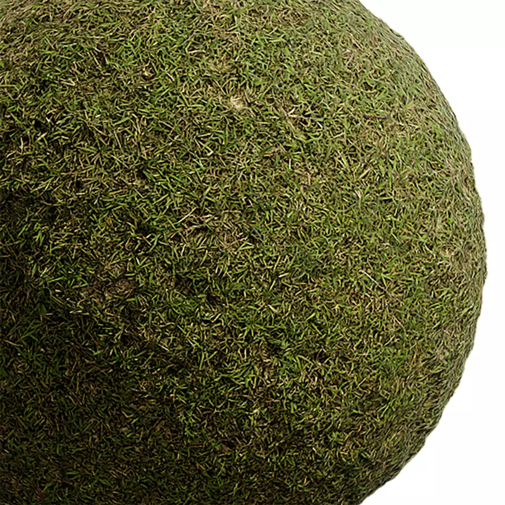 Grass Seamless Texture 2K - EXR 5 - JPG 5 Texture Texture_0