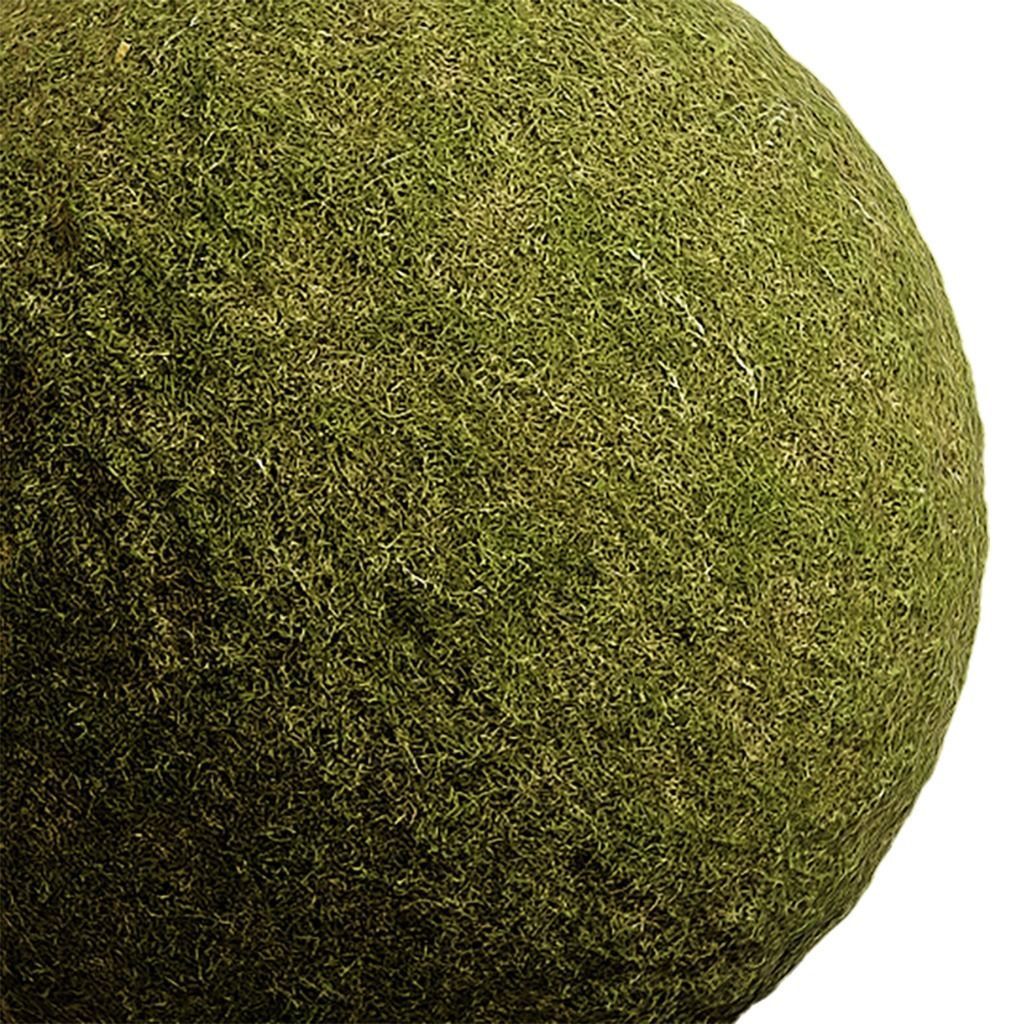 Grass Seamless Texture 2K - EXR 5 - JPG 5 Texture Texture_1