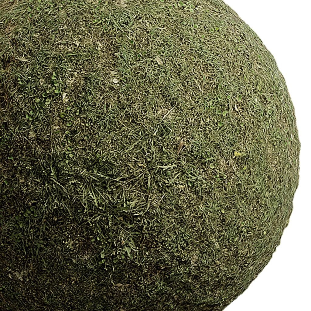 Grass Seamless Texture 2K - EXR 5 - JPG 5 Texture Texture_2