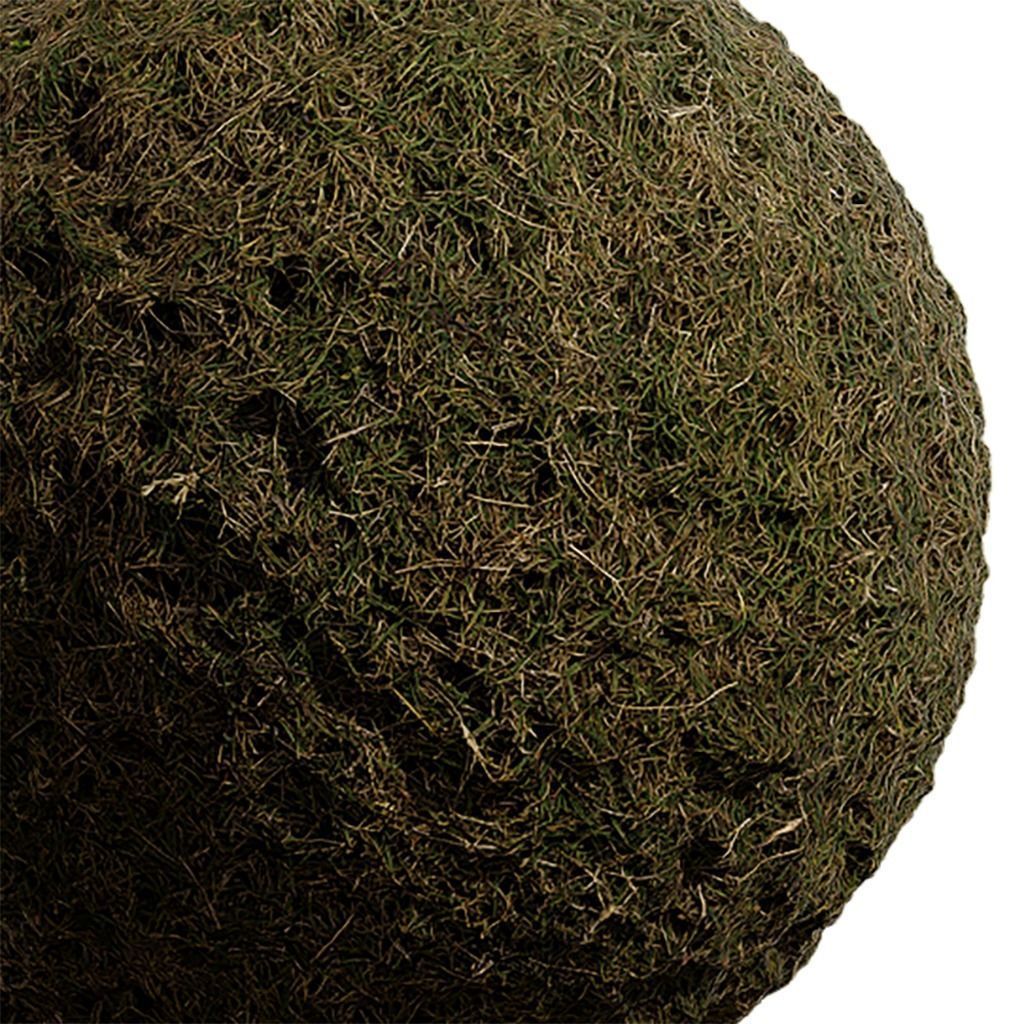 Grass Seamless Texture 2K - EXR 5 - JPG 5 Texture Texture_2