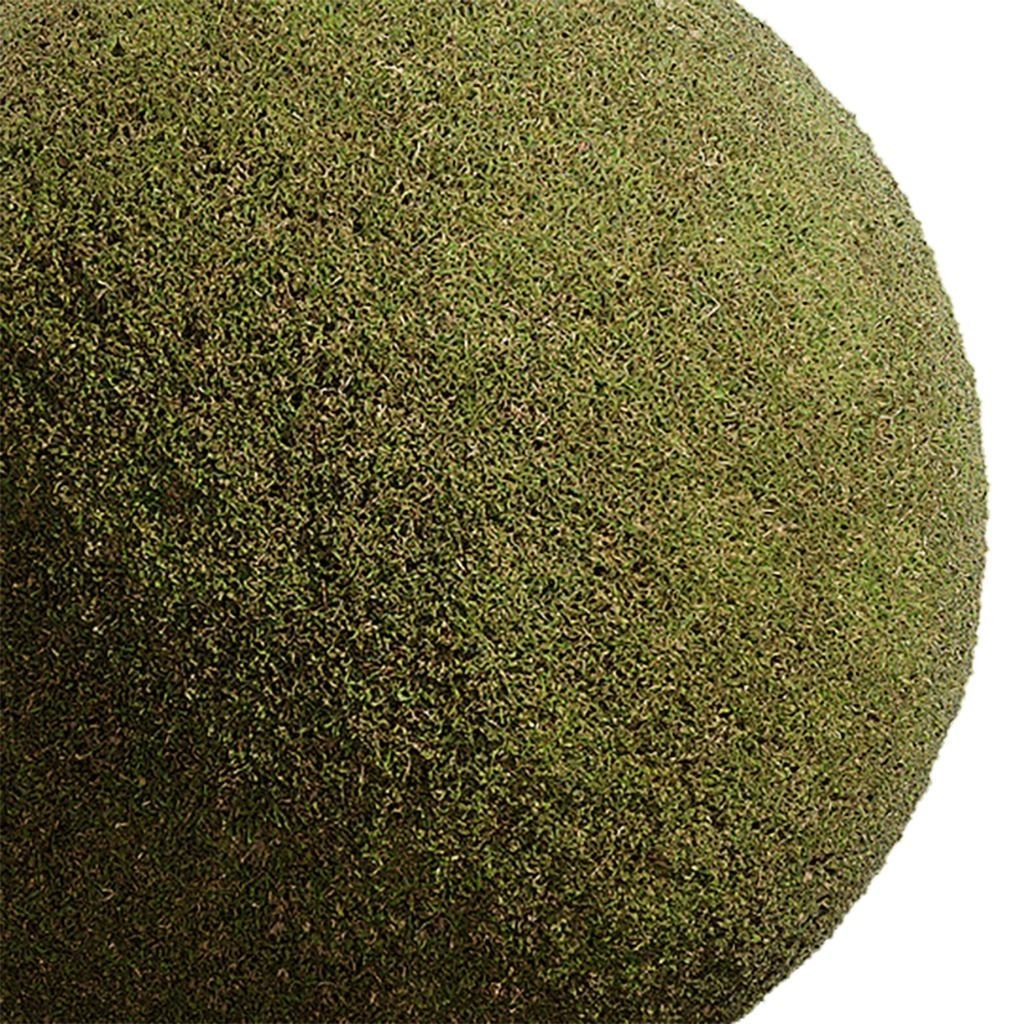 Grass Seamless Texture 2K - EXR 5 - JPG 5 Texture Texture_4