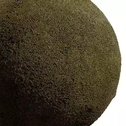 Grass Seamless Texture 2K - EXR 5 - JPG 5 Texture Texture