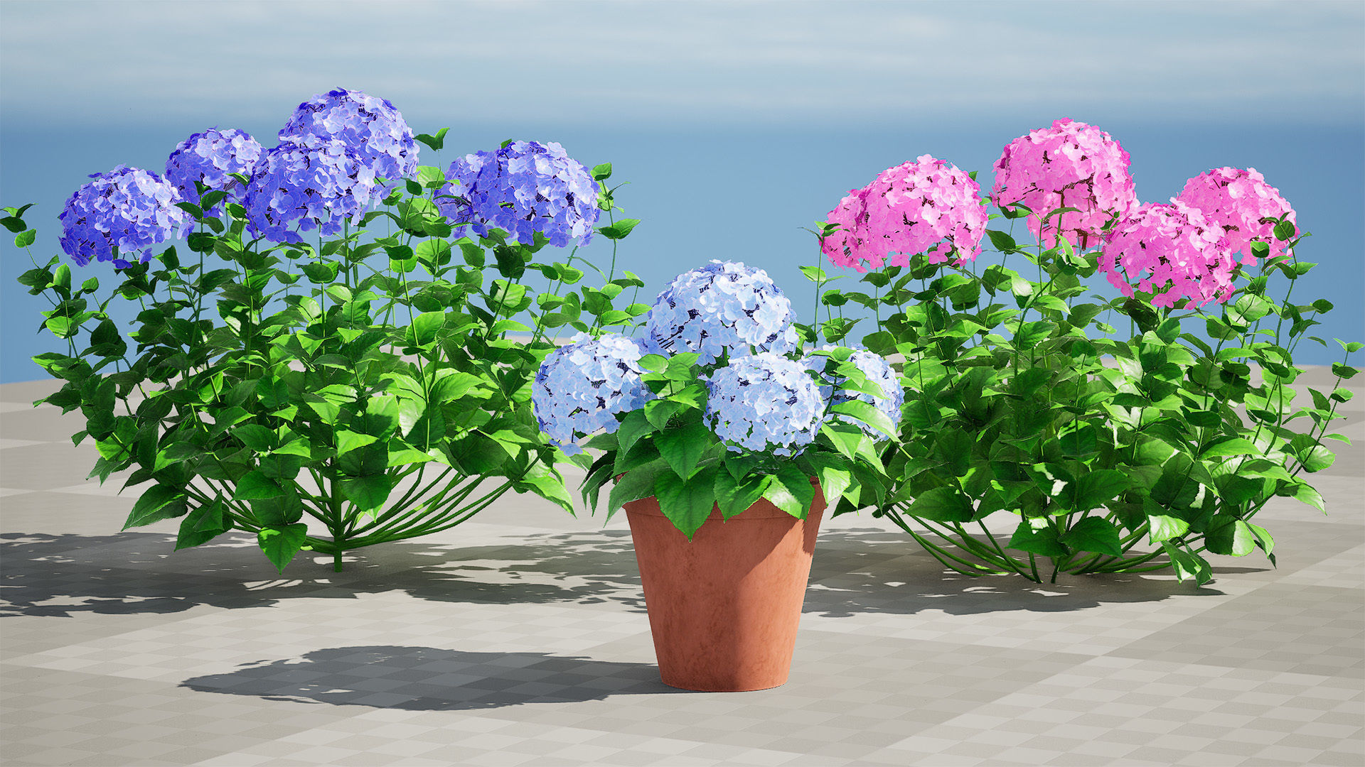 Big Daddy Hydrangea flower shrub with free tutorial Low-poly 3D model_11