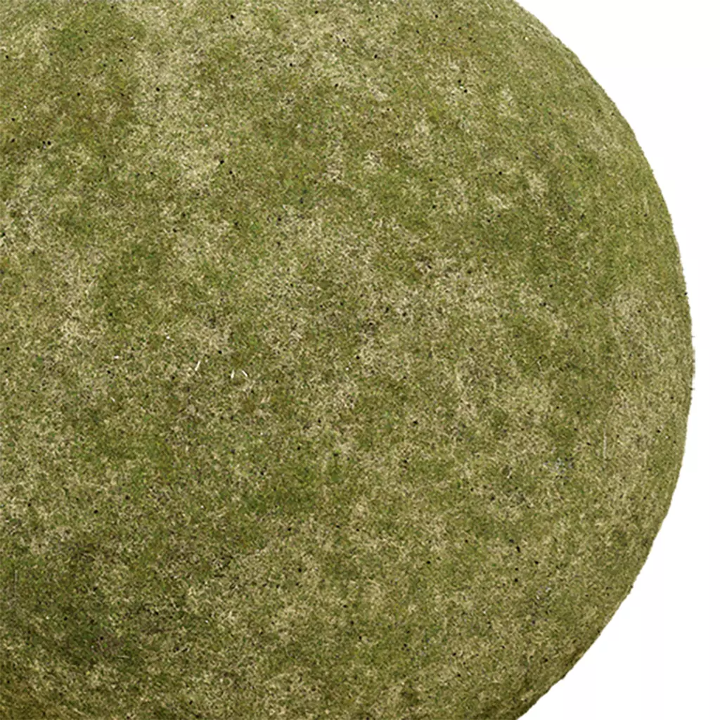 Grass Seamless Texture 2K - EXR 5 - JPG 5 Texture Texture_0