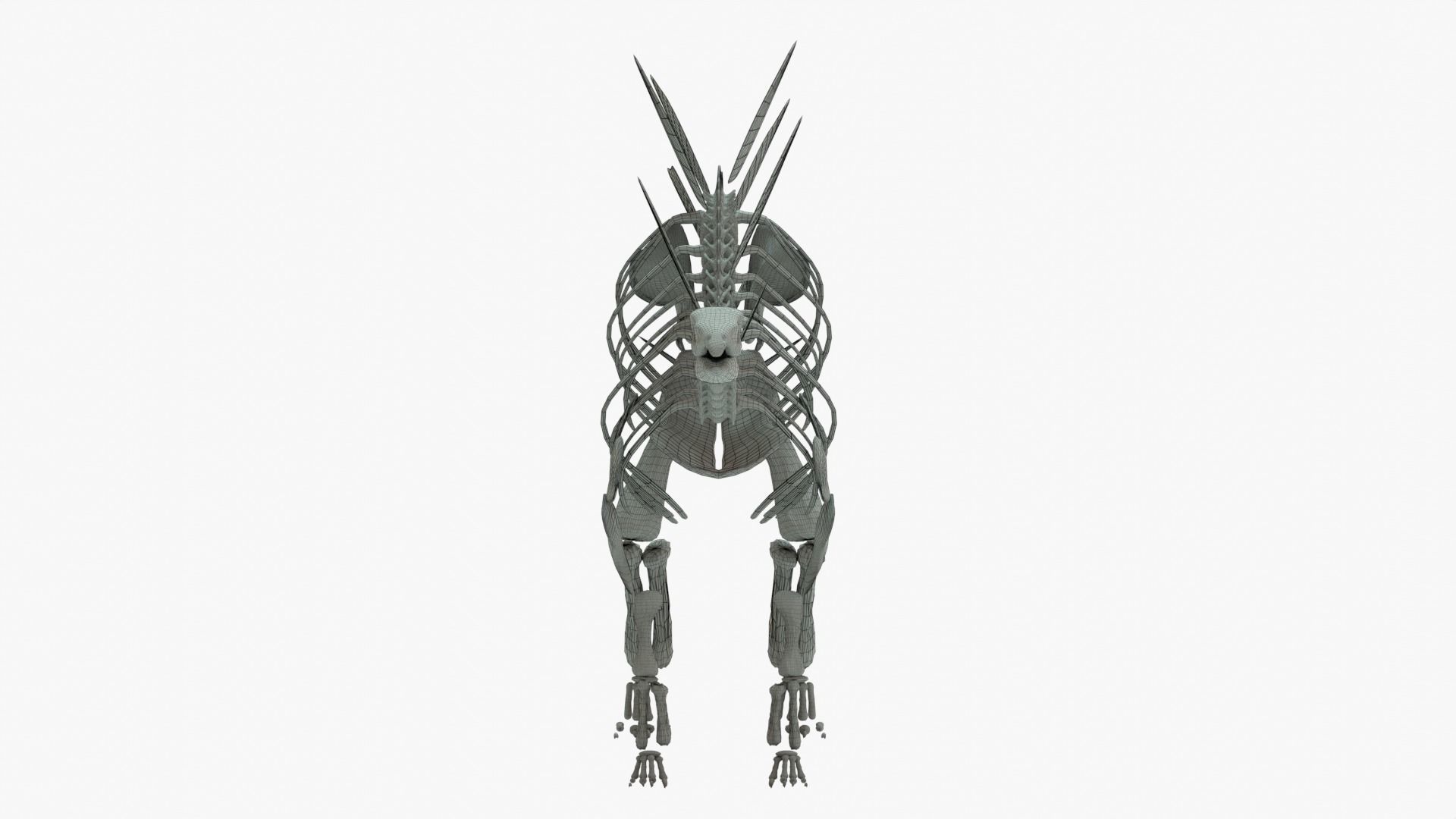 Stegosaurus Rigged Skeleton Low-poly 3D model_16