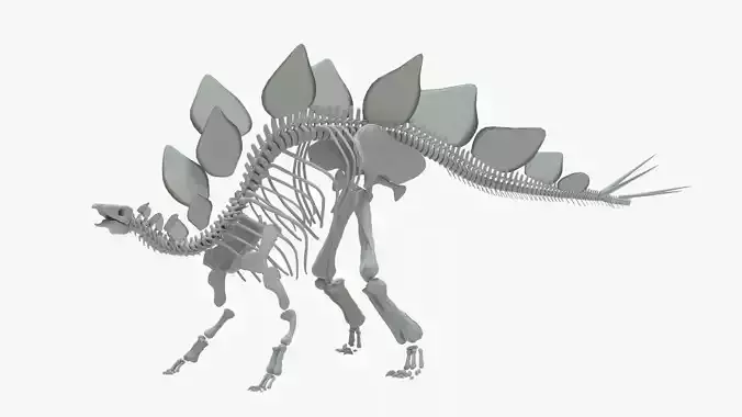 Stegosaurus Rigged Skeleton Low-poly 3D model