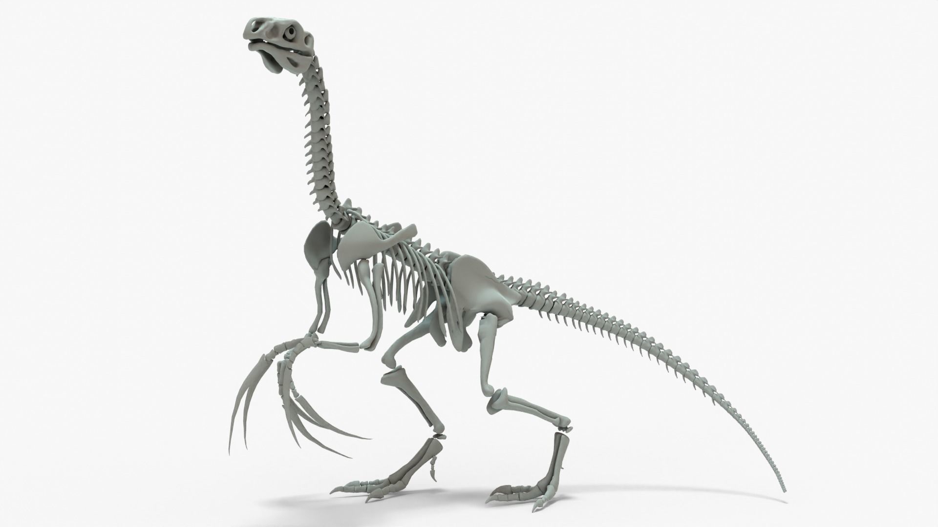 Therizinosaurus Rigged Skeleton Low-poly 3D model_6