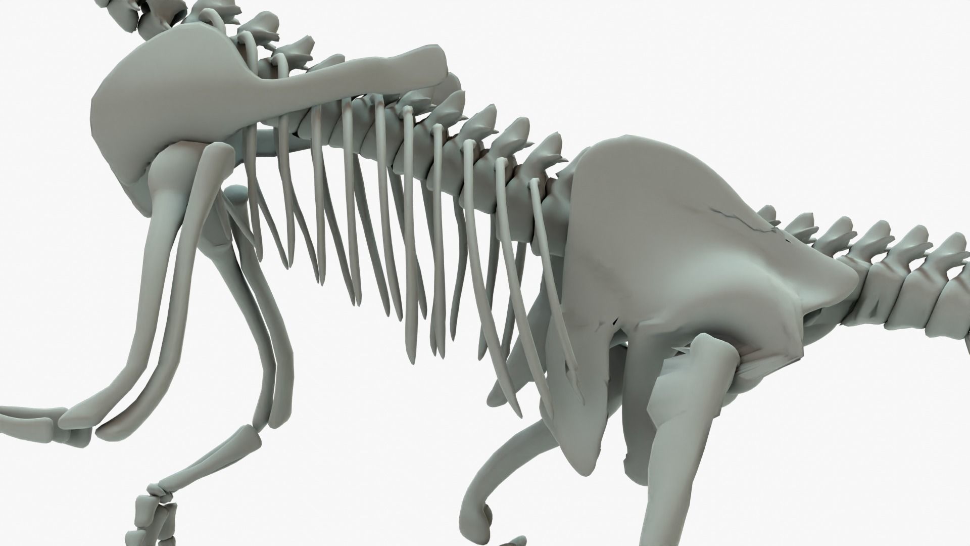 Therizinosaurus Rigged Skeleton Low-poly 3D model_7