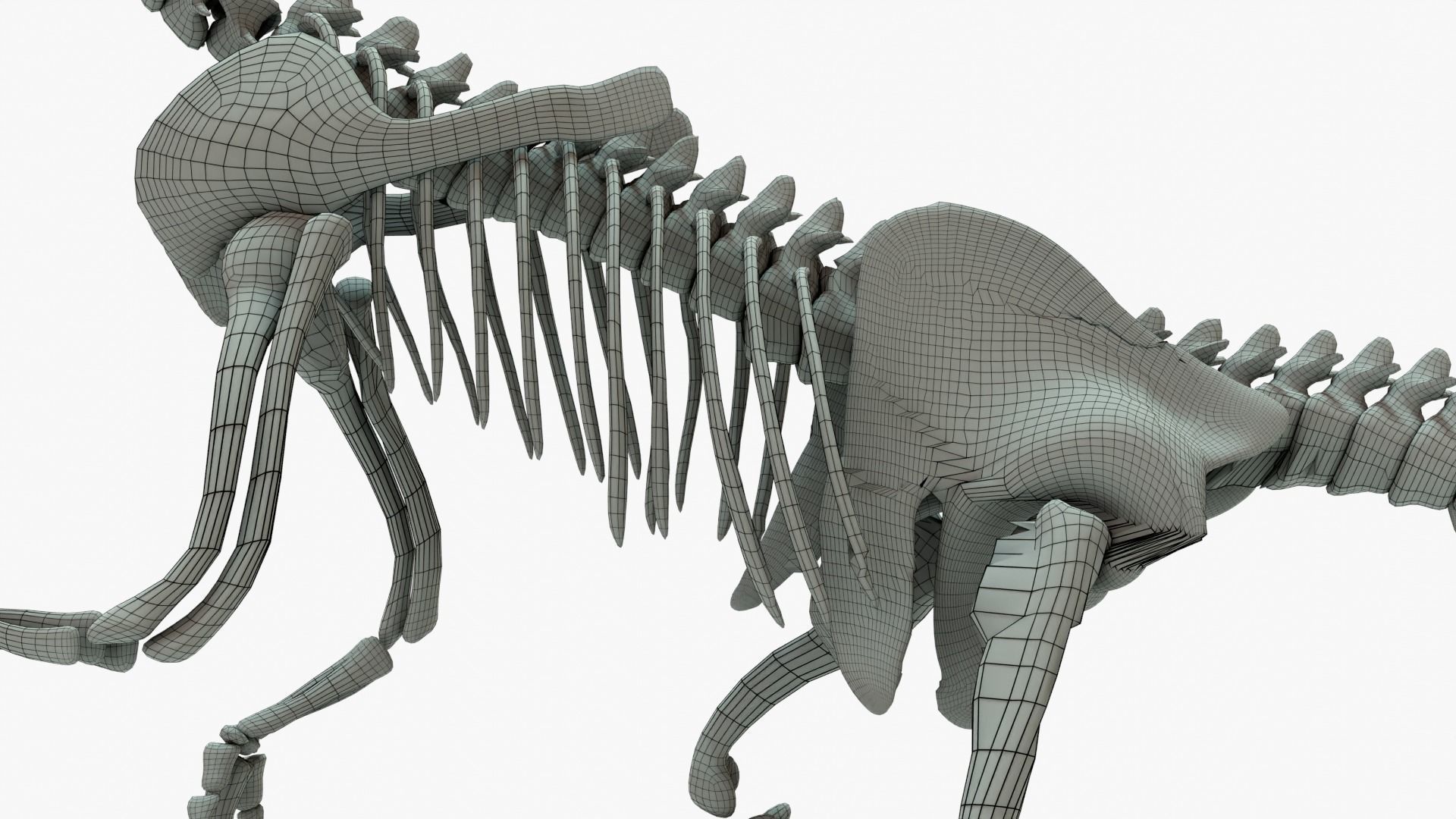 Therizinosaurus Rigged Skeleton Low-poly 3D model_12