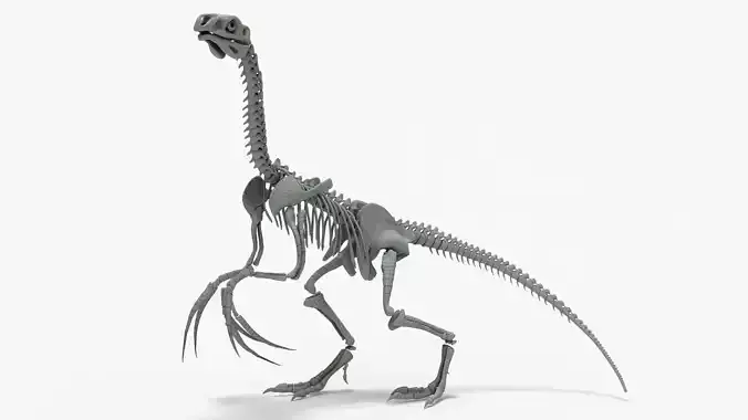 Therizinosaurus Rigged Skeleton Low-poly 3D model