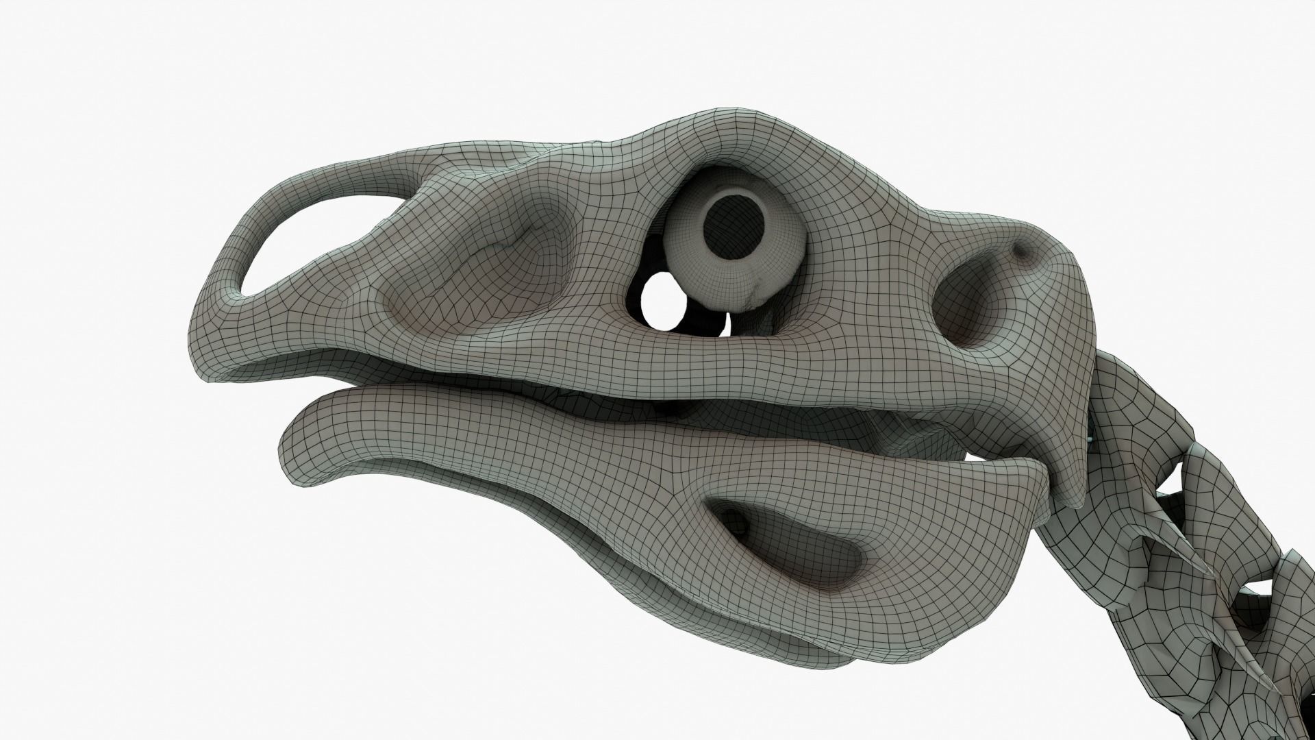 Therizinosaurus Rigged Skeleton Low-poly 3D model_11