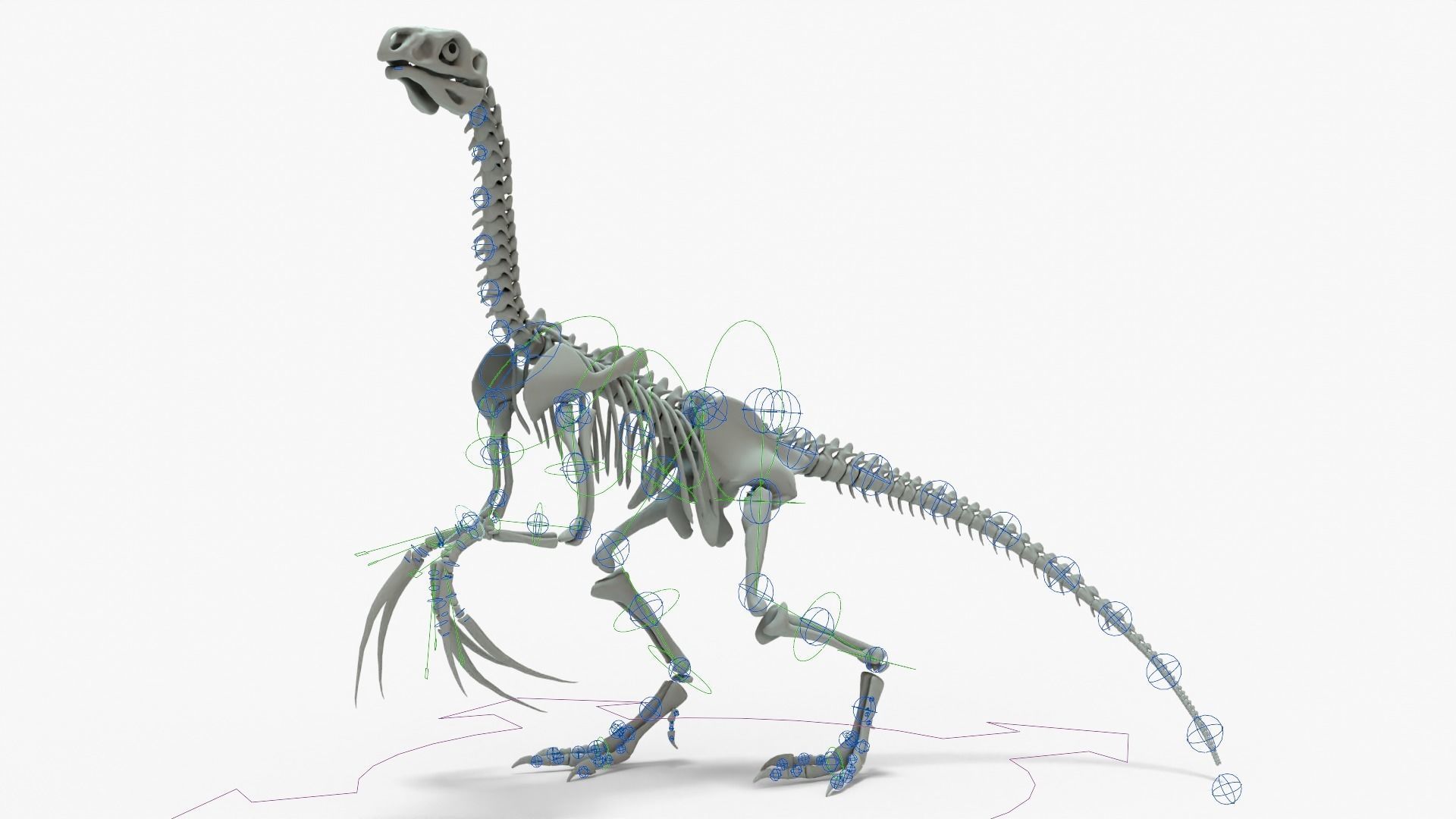 Therizinosaurus Rigged Skeleton Low-poly 3D model_17