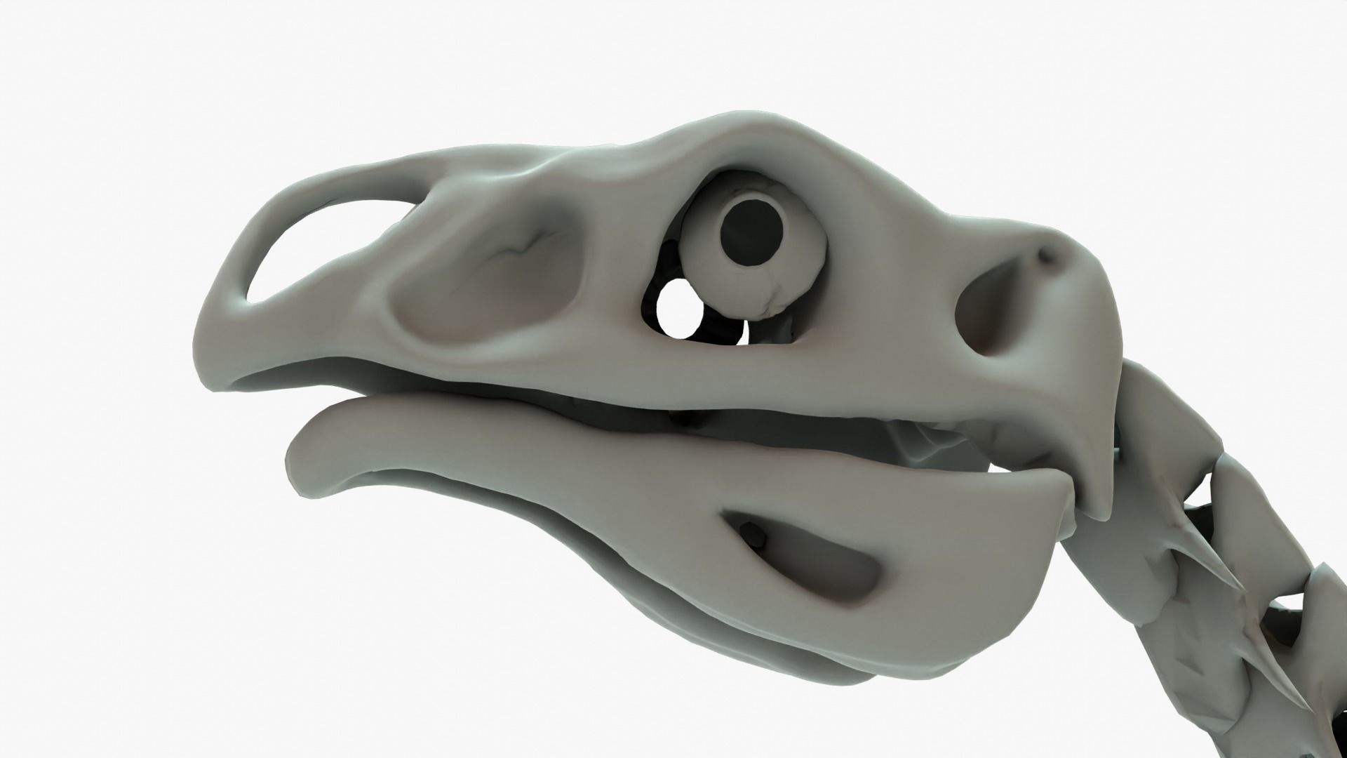 Therizinosaurus Rigged Skeleton Low-poly 3D model_4