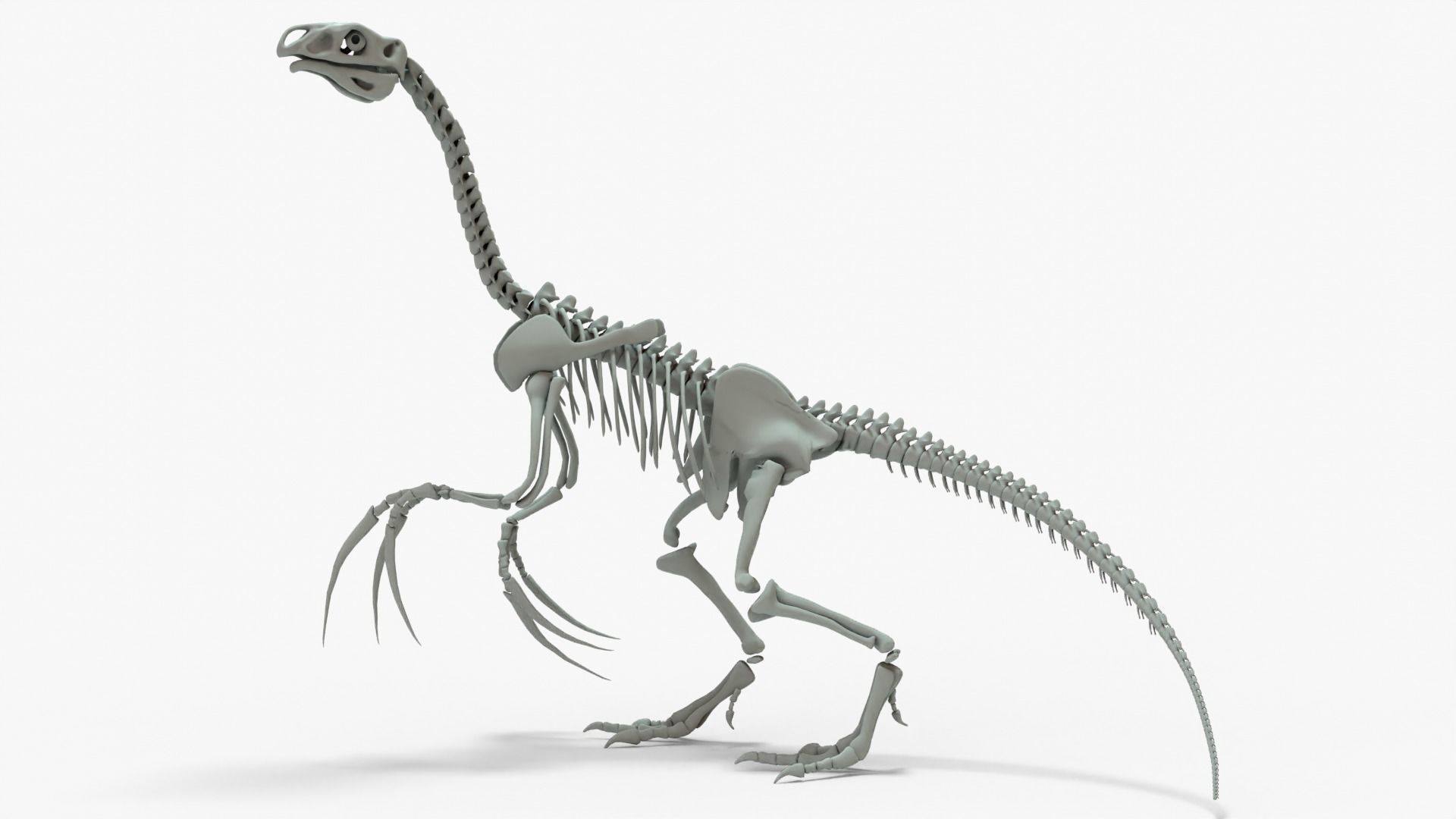 Therizinosaurus Rigged Skeleton Low-poly 3D model_5
