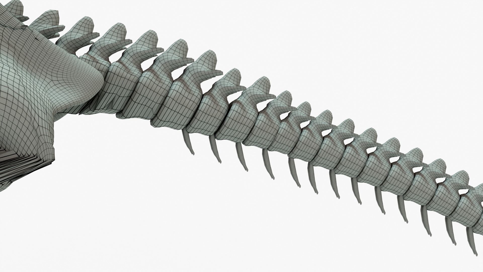 Therizinosaurus Rigged Skeleton Low-poly 3D model_8