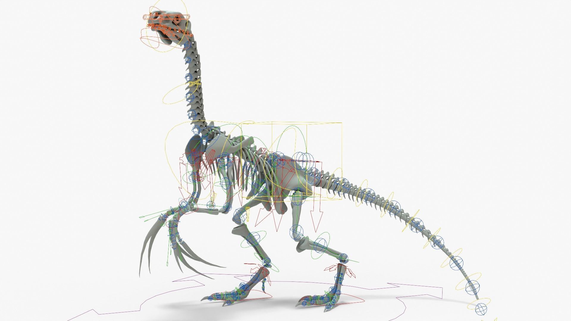 Therizinosaurus Rigged Skeleton Low-poly 3D model_15