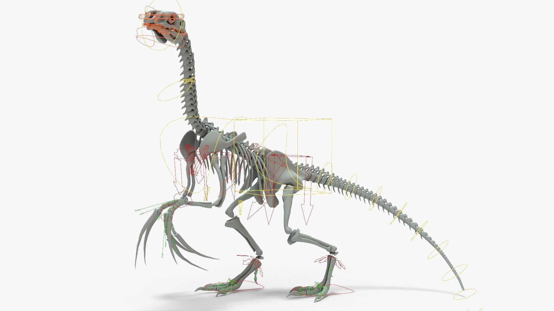 Therizinosaurus Rigged Skeleton Low-poly 3D model_16